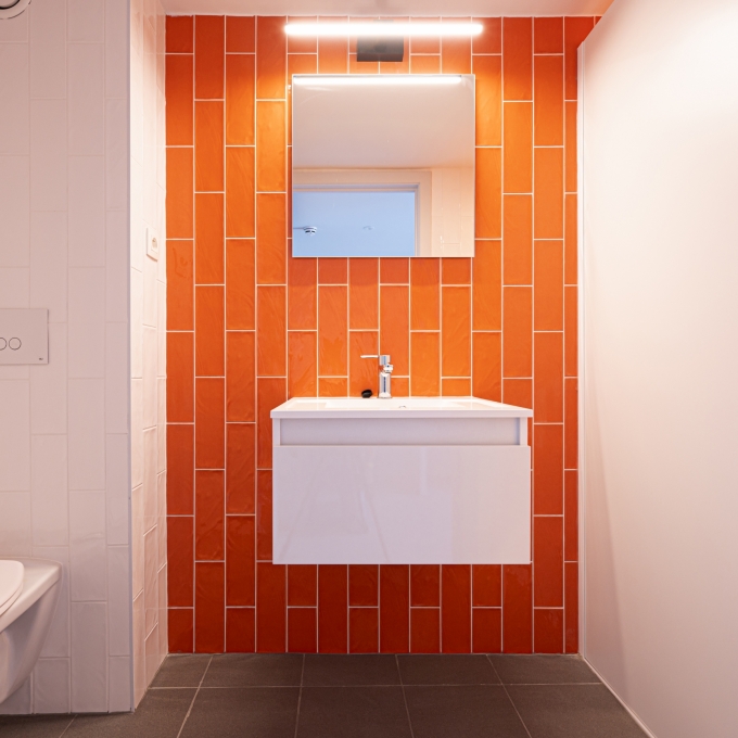 Duchêne zabra l'uni liège