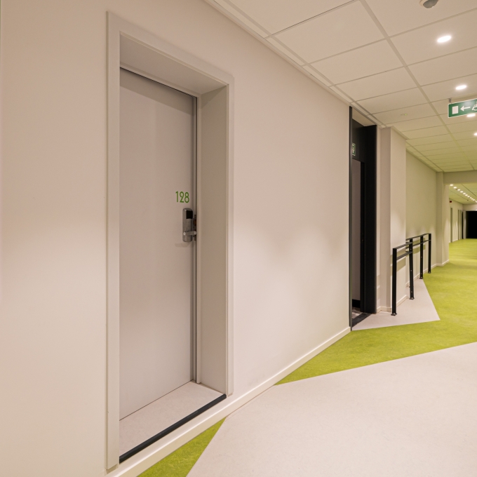 Duchêne zabra l'uni liège