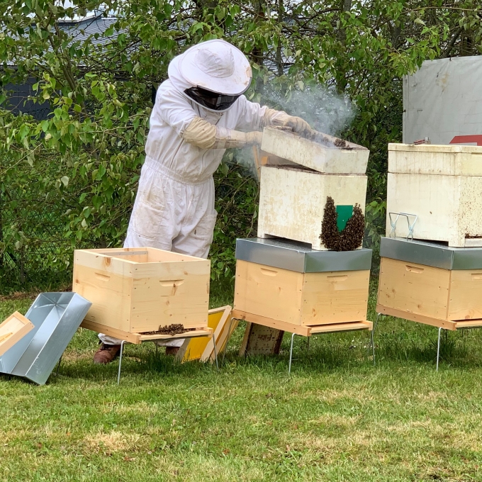 Ruches abeilles duchêne strée
